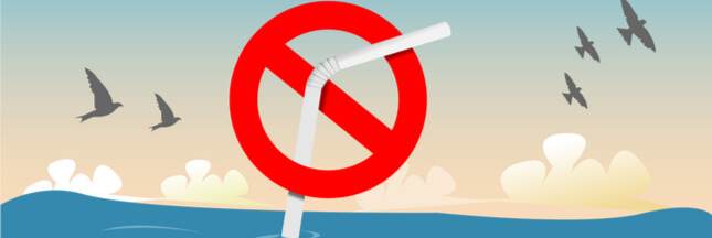 Journée internationale sans paille : dites non à la pollution plastique !