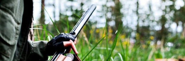 En 2017, quatre défenseurs de l'environnement étaient tués chaque semaine à travers le monde