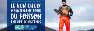 Semaine de la pêche responsable : agir maintenant pour du poisson encore longtemps