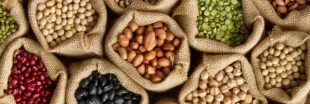 Alimentation : le boom des protéines végétales