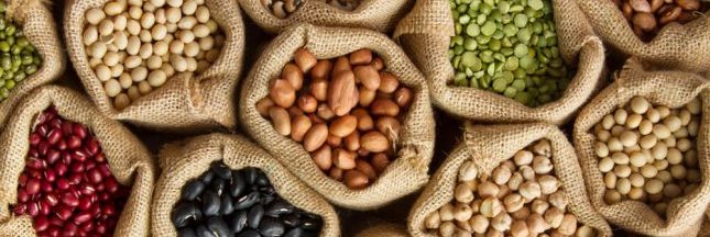 Alimentation : le boom des protéines végétales