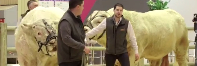 Sondage - Pour vous, que représente le salon de l'agriculture ? Sondage - Pour vous, que représente le salon de l'agriculture ?