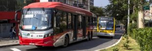 En 2025, un bus sur deux sur la planète sera électrique