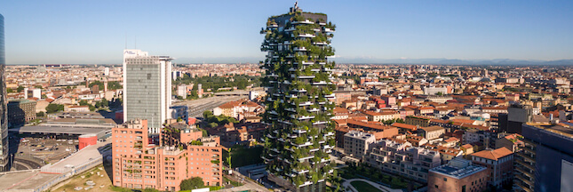 Urban Forestry : comme un arbre dans la ville…