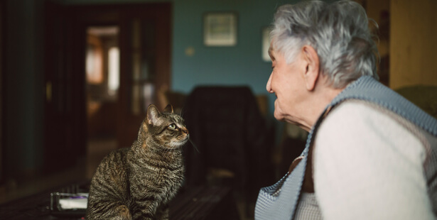 aniamux décès maître