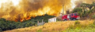 Pour éviter les incendies les portugais doivent couper les arbres devant chez eux... rapidement !