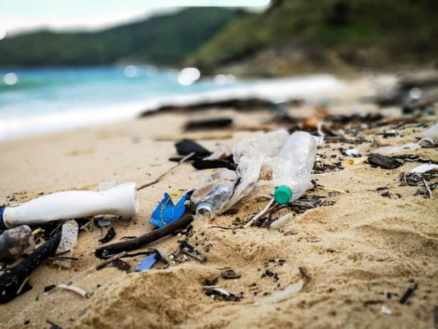 pollution plastique, ekoplaza supermarché sans plastique