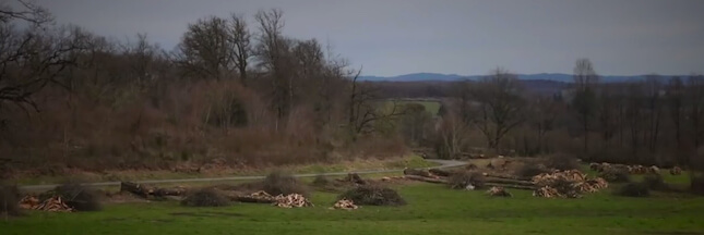 Massacre à la tronçonneuse pour la fibre en Corrèze