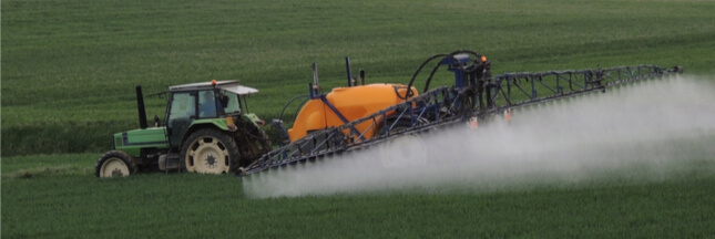 glyphosate