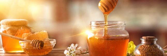 alternatives naturelles antibiotiques