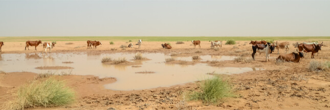 Le Sahara s’avance toujours plus loin et plus vite