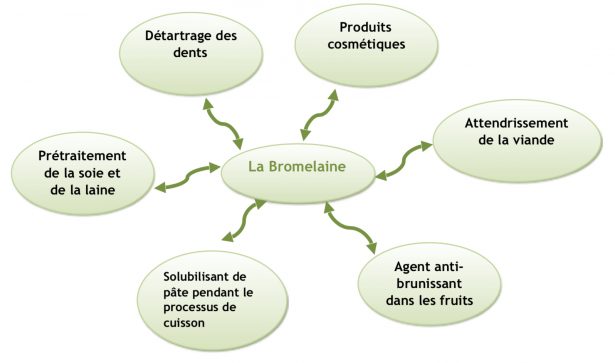 bromelaïne
