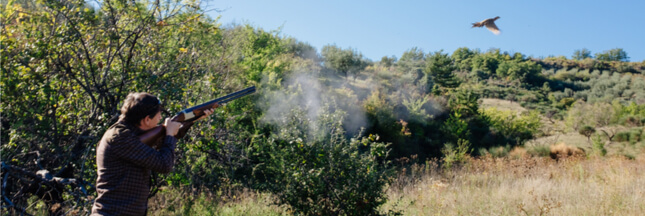 En France, les lobbys de la chasse ne désarment pas et la biodiversité en prend un coup