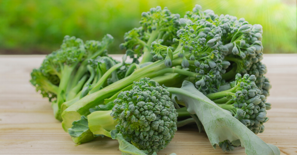 Le ‘cima di rapa’ ou brocoli-rave, un légume ancien qui a du piquant 