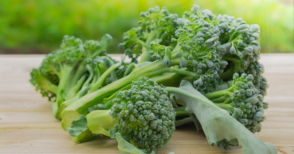 Le 'cima di rapa' ou brocoli-rave, un légume ancien qui a du piquant 