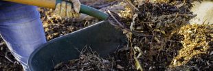 La méthode Jean Pain : de l'énergie verte grâce au compost de broussailles