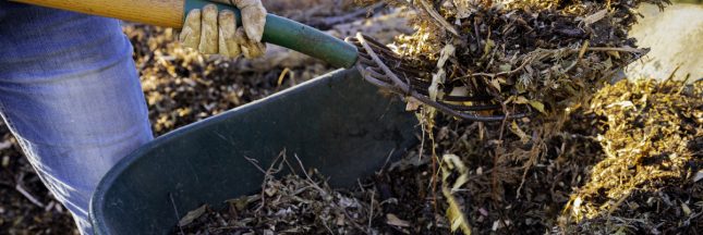 compost de broussailles