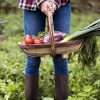 Association de plantes : les légumes du jardin