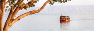 Israël met en place un plan d'urgence pour sauver le lac de Tibériade