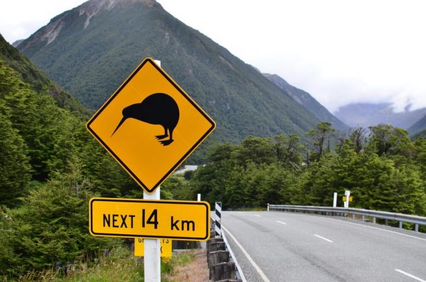 kiwis