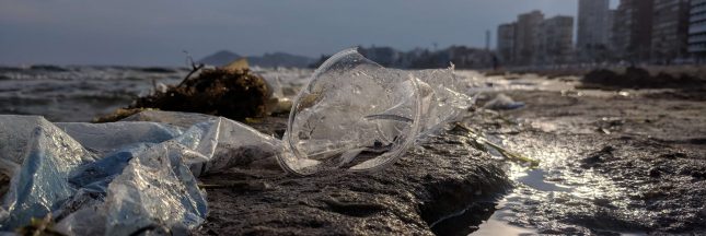 Appel du WWF : Sauvons la Méditerranée du plastique !
