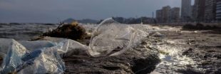 Appel du WWF : Sauvons la Méditerranée du plastique !