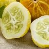 Le concombre lemon, le légume oublié à remettre dans l'assiette cet été Le concombre lemon, le légume oublié à remettre dans l'assiette cet été