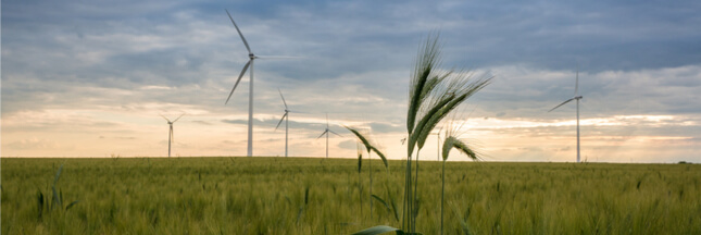 2017, la triple rupture de l’écologie en politique