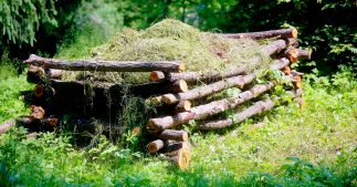 Peut-on faire du compost avec du gazon ?