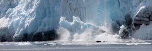 La vidéo glaçante d'un iceberg géant qui se détache d'un glacier