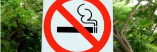 Strasbourg bannit le tabac de ses espaces verts