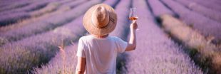 Des millions de litres de rosé espagnol vendus avec des étiquettes françaises
