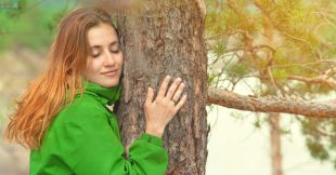 La sylvothérapie ou quand les arbres soignent nos maux