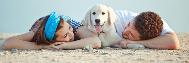 Sondage – Les vacances d’été : avec ou sans votre animal de compagnie ?