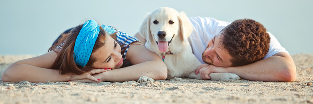 Sondage - Les vacances d'été : avec ou sans votre animal de compagnie ?