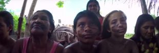 Déforestation: encore un 'gardien de l'Amazonie' victime des forestiers