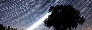 Les étoiles filantes des Perséides pour la Nuit des étoiles [photos]