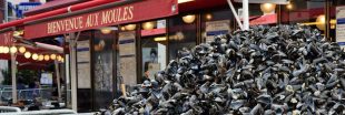 Braderie de Lille (ou pas) : que faire des coquilles de moules ?