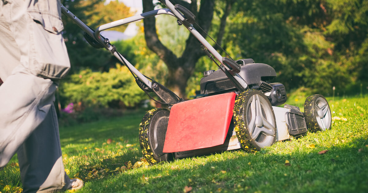 Le mulching ou comment fertiliser naturellement Le mulching ou comment fertiliser naturellement