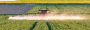 Cultiver bio, aussi rentable qu'avec des pesticides ? Cultiver bio, aussi rentable qu'avec des pesticides ?