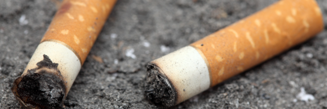 recycler les megots de cigarette