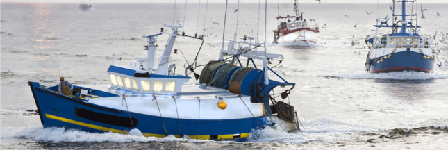 En Méditerranée, la pêche artisanale en pleine métamorphose