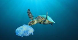 Plastiques, pétrole : les océans agonisent sous les déchets Plastiques, pétrole : les océans agonisent sous les déchets