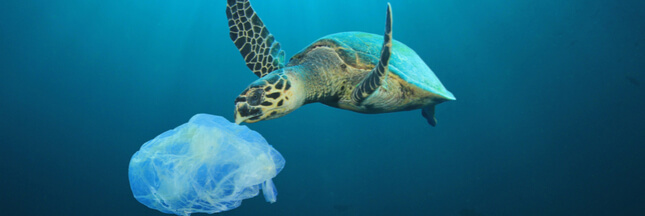 Plastiques, pétrole : les océans agonisent sous les déchets