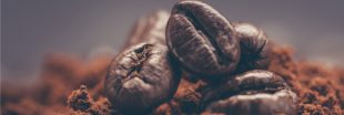 Filière du café : la success-story qui cache la crise