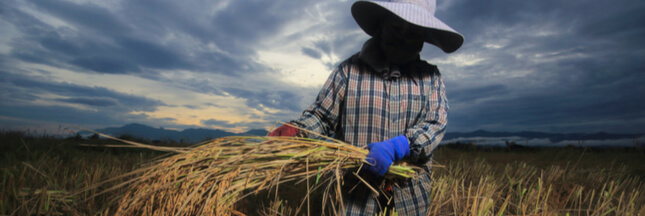 Monsanto aurait créé des groupes d’ ‘agriculteurs fantômes’ pour défendre le glyphosate