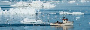 Un accord inédit interdit la pêche commerciale en Arctique !