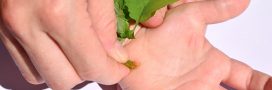 Verrues : nos secrets pour leur faire la peau naturellement