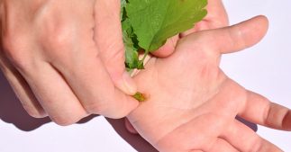 Verrues : nos secrets pour leur faire la peau naturellement Verrues : nos secrets pour leur faire la peau naturellement