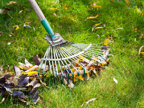 paillage potager